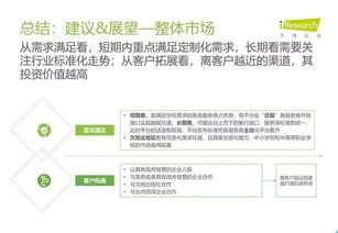2019年中國教育信息化行業(yè)報(bào)告 信息技術(shù)咨詢服務(wù)